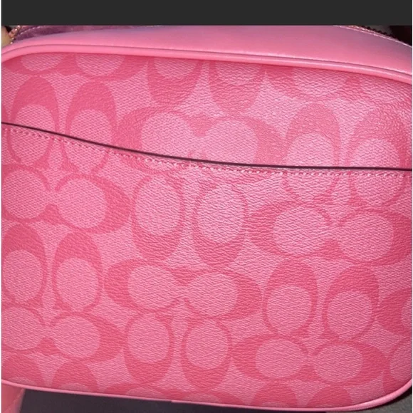 Custom pink red ruby da sleeze nicki Minaj coach bag💖❤️‍🔥 - Picture 13 of 13